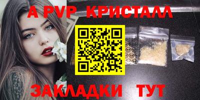 стаф Тверь