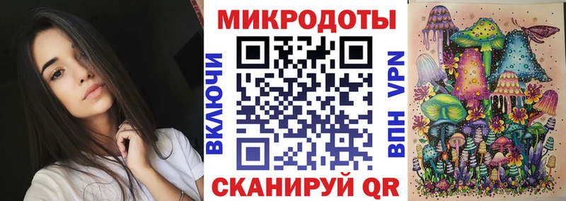 Галлюциногенные грибы Psilocybine cubensis Тверь