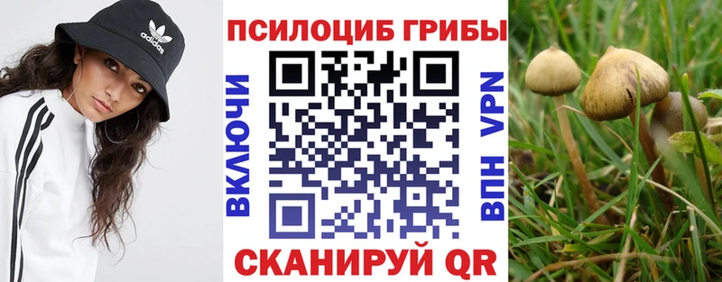 купить наркотики цена Тверь Псилоцибиновые грибы прущие грибы