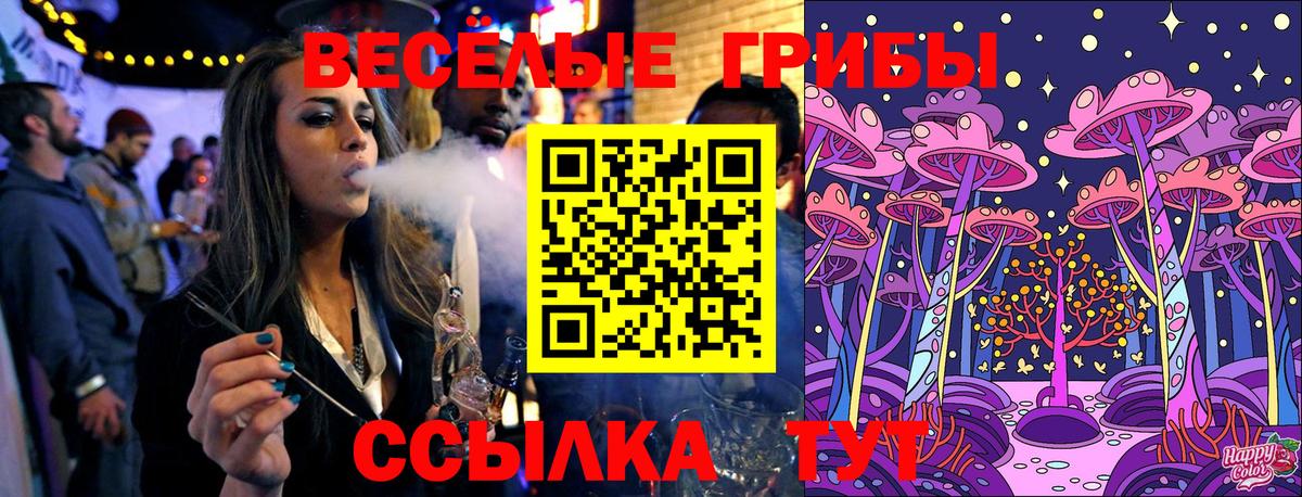 Галлюциногенные грибы Psilocybine cubensis  Вход с VPN  Тверь 